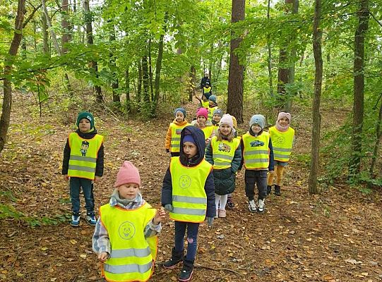 Dzieci w lesie przy krzewach