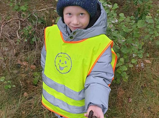 Dzieci w lesie przy krzewach