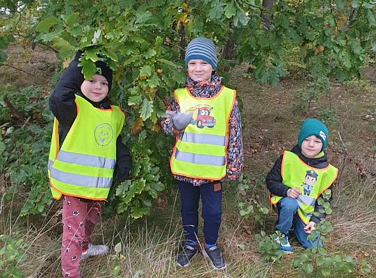 Dzieci w lesie przy krzewach