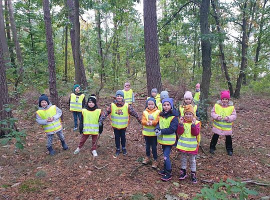 Dzieci w lesie przy drzewach