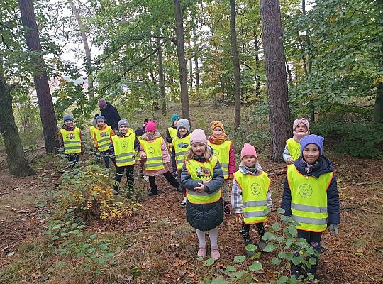 Dzieci w lesie przy drzewach