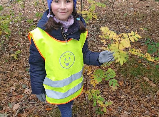 Dzieci w lesie przy krzewach