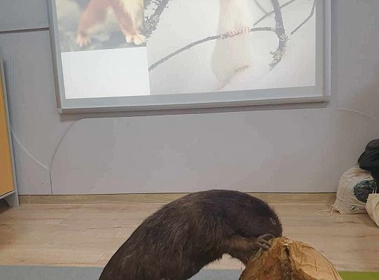 Gr. II i IV Spotkanie z leśniczym - tatą Jędrka