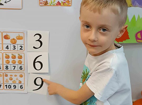 Gr. IV Dzień Dyni