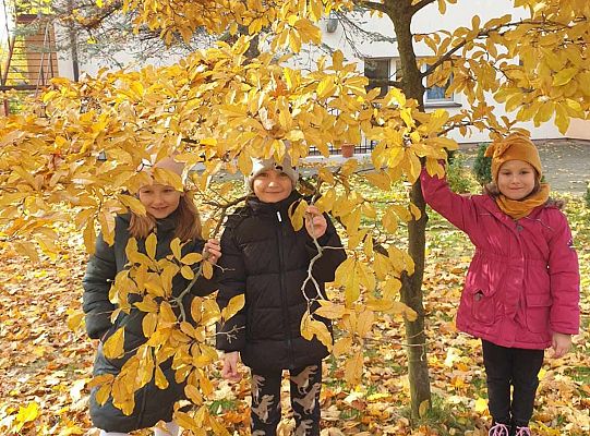 Gr. IV Jesień w ogrodzie przedszkolnym