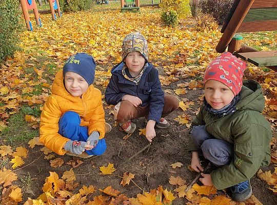 Gr. IV Jesień w ogrodzie przedszkolnym