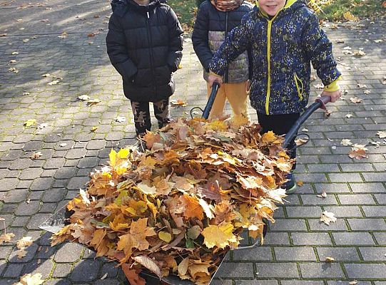 Gr. IV Jesień w ogrodzie przedszkolnym