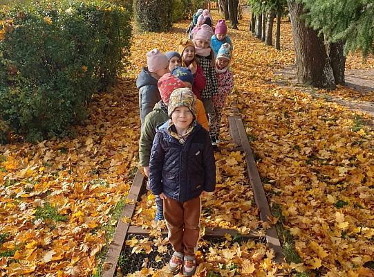 Gr. IV Jesień w ogrodzie przedszkolnym