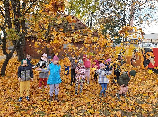 Gr. IV Jesień w ogrodzie przedszkolnym