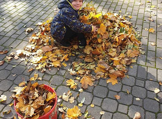 Gr. IV Jesień w ogrodzie przedszkolnym
