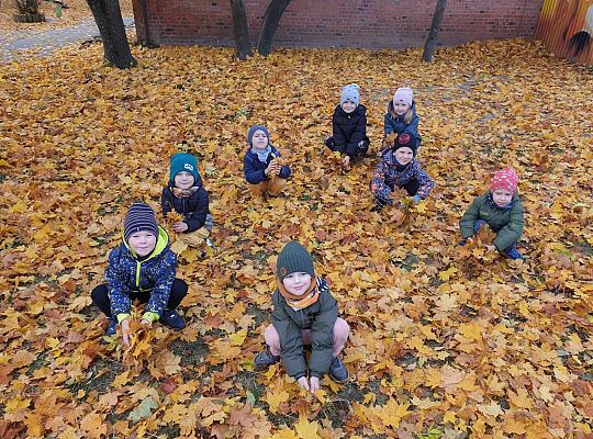 Gr. IV Jesień w ogrodzie przedszkolnym