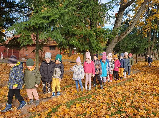 Gr. IV Jesień w ogrodzie przedszkolnym