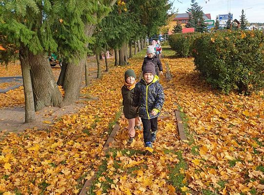 Gr. IV Jesień w ogrodzie przedszkolnym