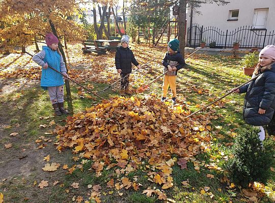 Gr. IV Jesień w ogrodzie przedszkolnym
