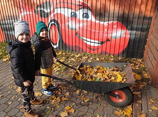 Gr. IV Jesień w ogrodzie przedszkolnym