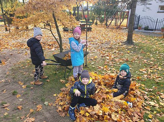 Gr. IV Jesień w ogrodzie przedszkolnym
