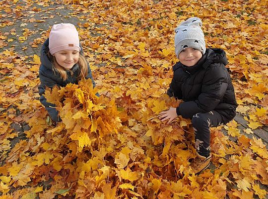 Gr. IV Jesień w ogrodzie przedszkolnym