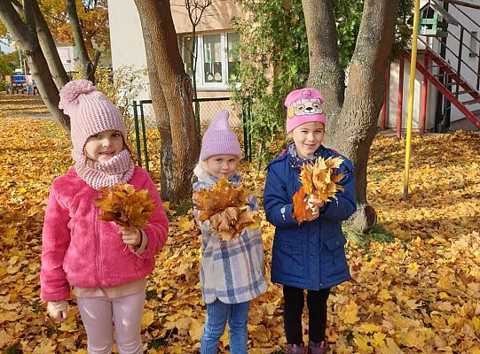 Gr. IV Jesień w ogrodzie przedszkolnym