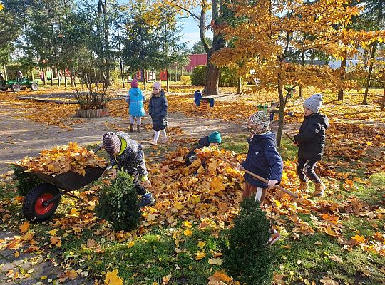 Gr. IV Jesień w ogrodzie przedszkolnym