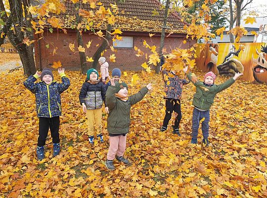 Gr. IV Jesień w ogrodzie przedszkolnym