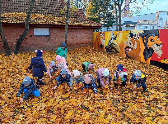 Gr. III Jesień w ogrodzie przedszkolnym