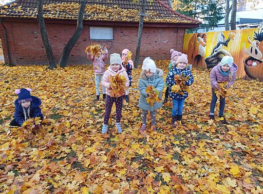 Gr. III Jesień w ogrodzie przedszkolnym