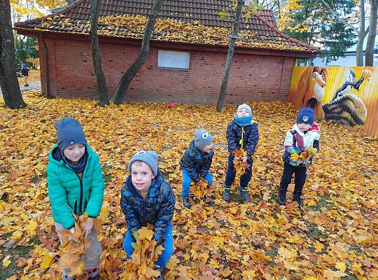 Gr. III Jesień w ogrodzie przedszkolnym