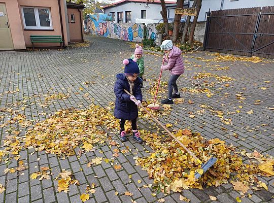 Gr. III Jesień w ogrodzie przedszkolnym