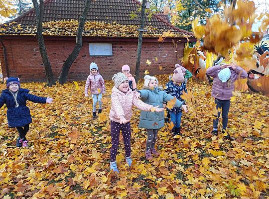 Gr. III Jesień w ogrodzie przedszkolnym