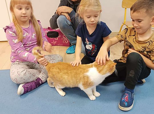 Gr. IV i III Niecodzienny gość w przedszkolu