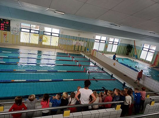 Gr. III Wyjście na basen