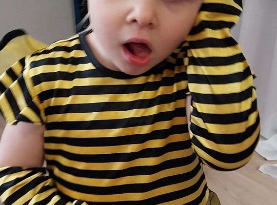 Gr. I Bal Karnawałowy