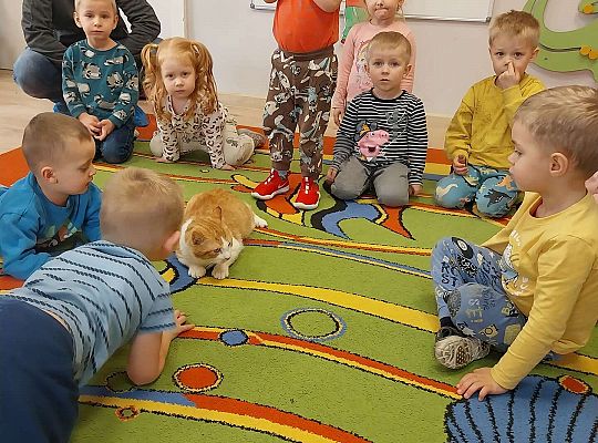 Dzieci z kotem