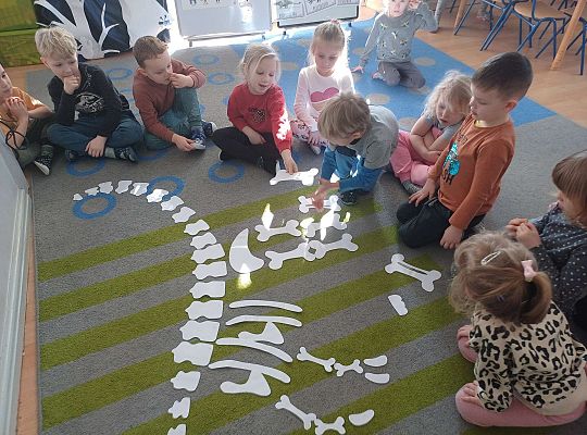 Gr. III Dzień Dinozaura