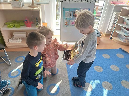 Gr. III  Urodziny Tomka