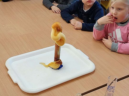 Eksperymenty z Panią Kasią