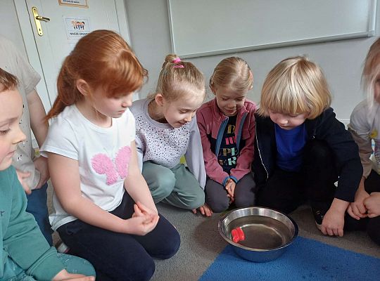 Gr. III Co pływa? Co tonie?