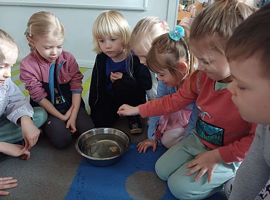 Gr. III Co pływa? Co tonie?