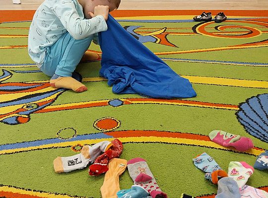 Poszukiwania skarpetek