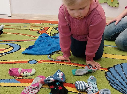 Poszukiwania skarpetek