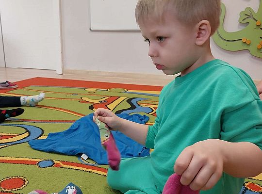 Poszukiwania skarpetek