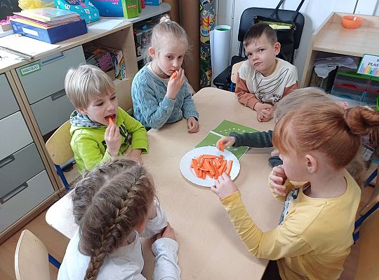 Gr. III "Skąd się biorą produkty ekologiczne"- Program Edukacyjny PSSE