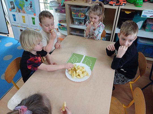 Gr. III "Skąd się biorą produkty ekologiczne"- Program Edukacyjny PSSE