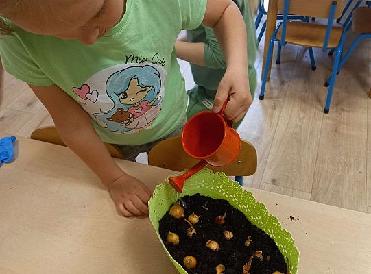 Dzieci sadzą roślinki