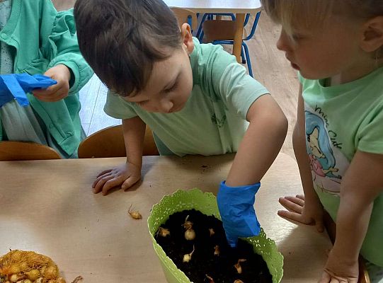 Dzieci sadzą roślinki