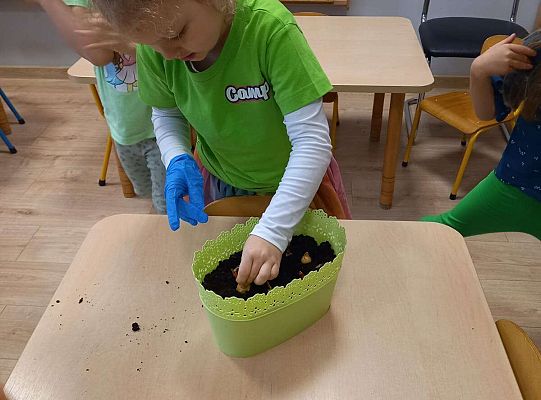 Dzieci sadzą roślinki