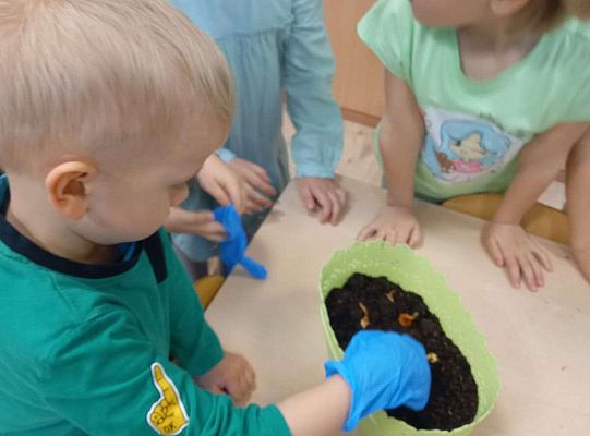 Dzieci sadzą roślinki