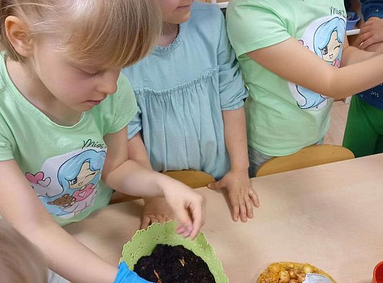 Dzieci sadzą roślinki