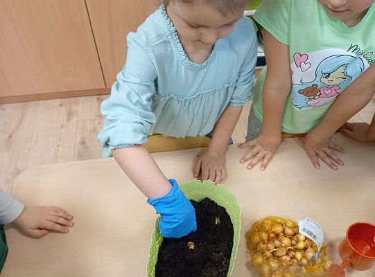 Dzieci sadzą roślinki