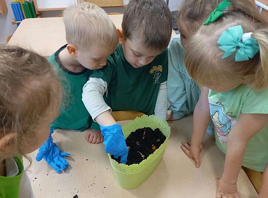 Dzieci sadzą roślinki